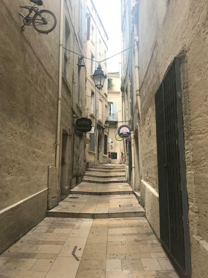 Superbe ! Appart T2 - Centre Historique & Tram - Situation Ideale Apartment Montpellier Exterior photo